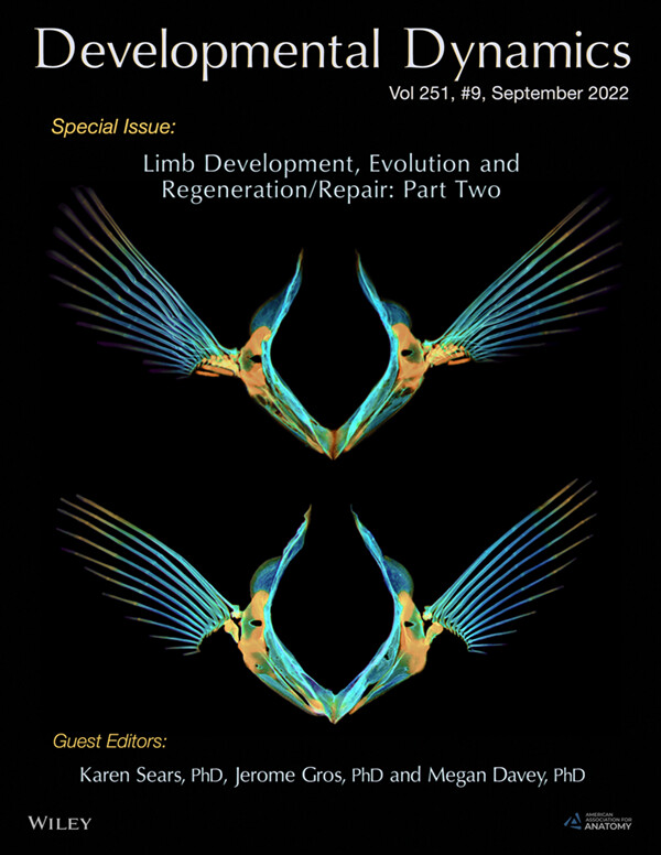 Developmental Dynamics Cover