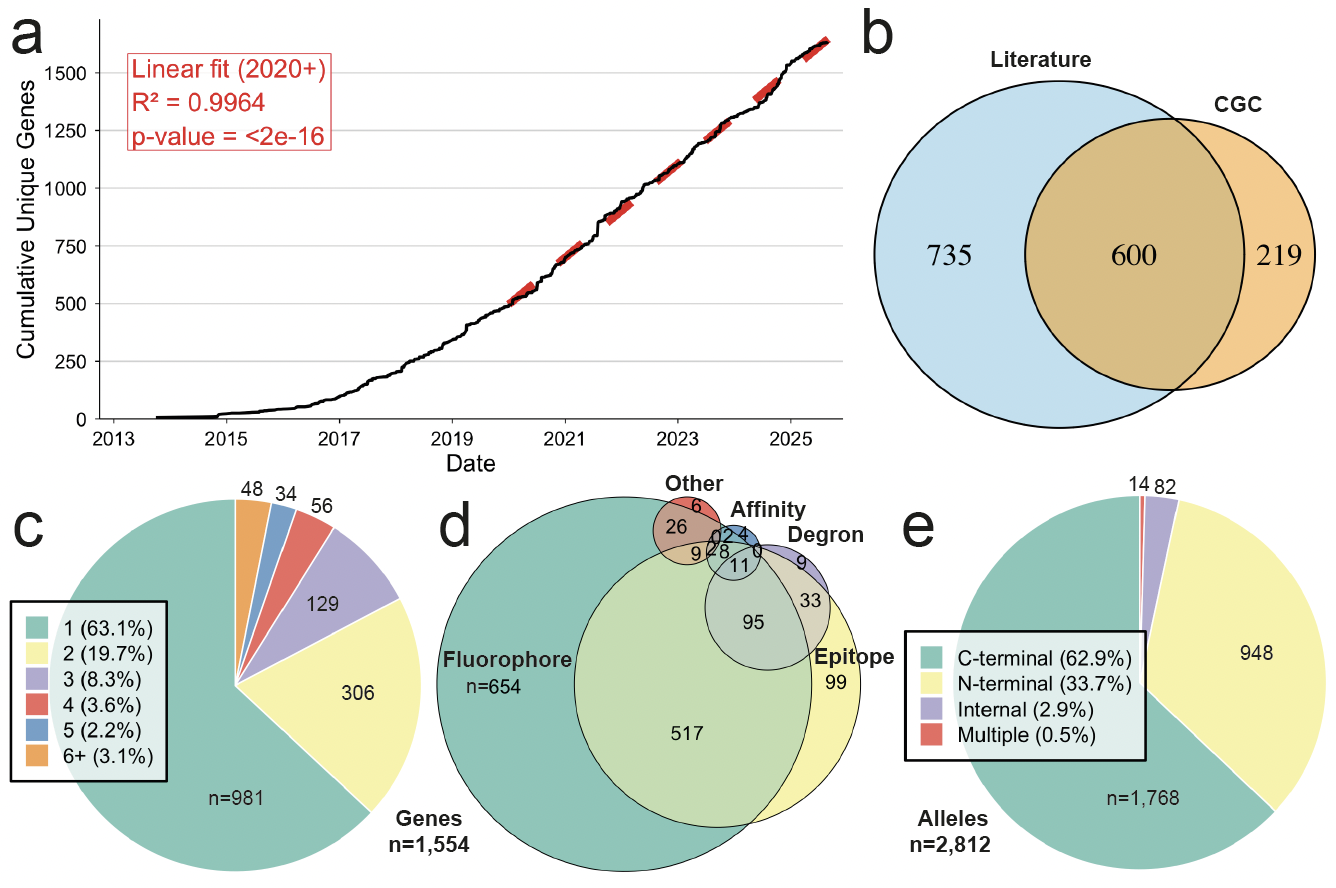 WormTagDB: A Systematic Survey of Endogenously Tagged Proteins in C. elegans and Roadmap Towards the Tagged Proteome